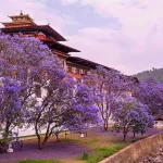 Bhutan Packing List: What to Wear & Bring for Every Season