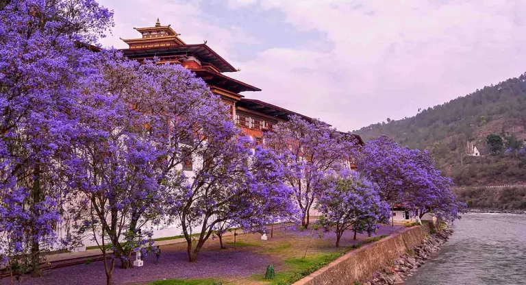 Bhutan Packing List: What to Wear & Bring for Every Season
