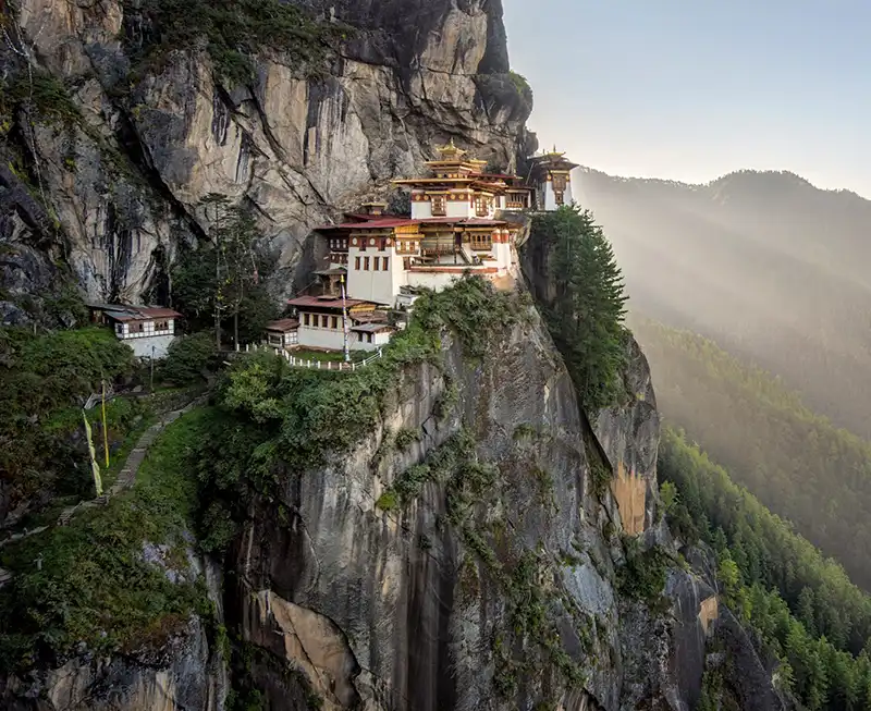 tigers nest in paro bhutan