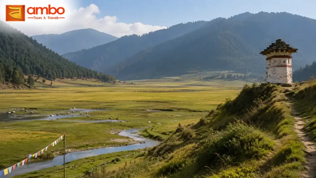 The Gangtey Nature Trail through Phobjikha Valley, winter home of the black-necked crane