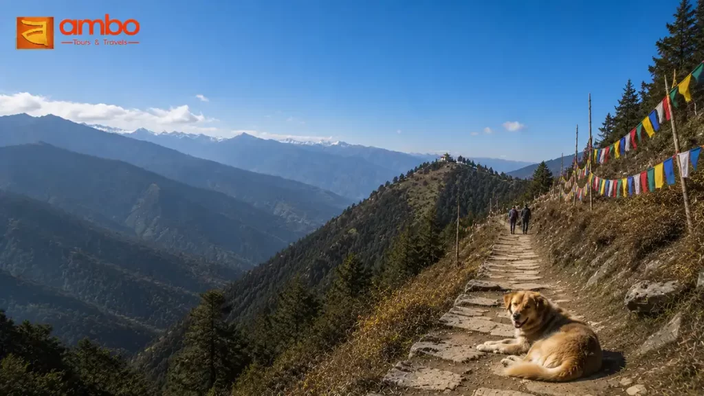 The view over Thimphu Valley from the Thari Goempa hiking trail